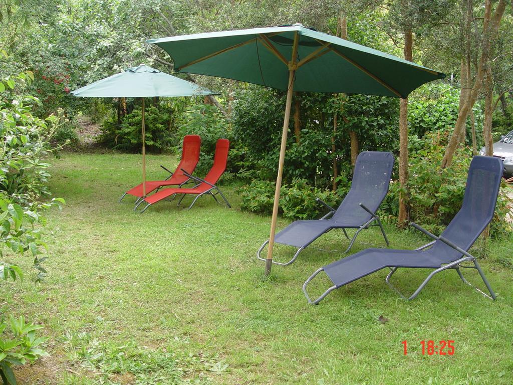 Cabanas El Bosque Patagonico フルティジャール 部屋 写真