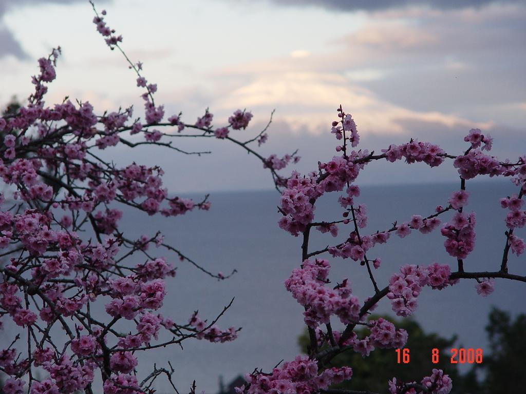 Cabanas El Bosque Patagonico フルティジャール 部屋 写真