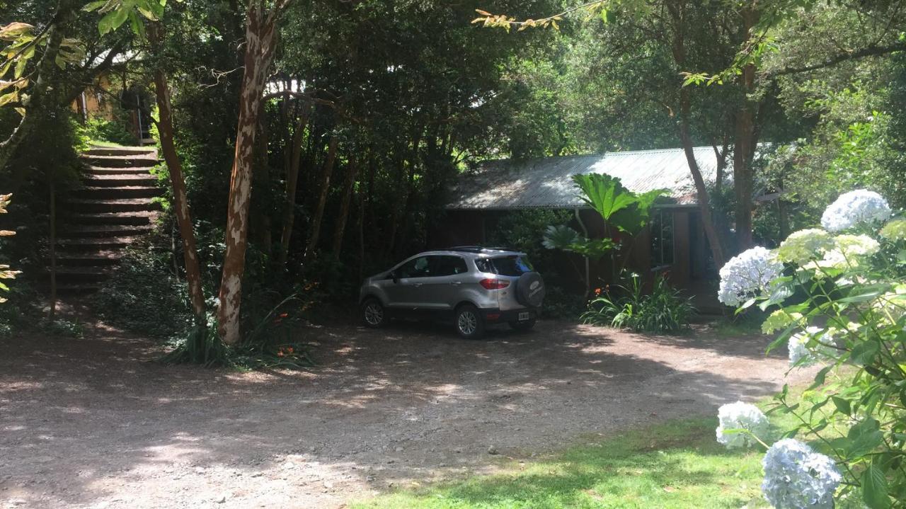 Cabanas El Bosque Patagonico フルティジャール エクステリア 写真
