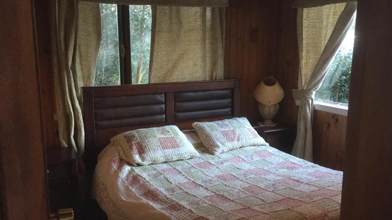 Cabanas El Bosque Patagonico フルティジャール エクステリア 写真
