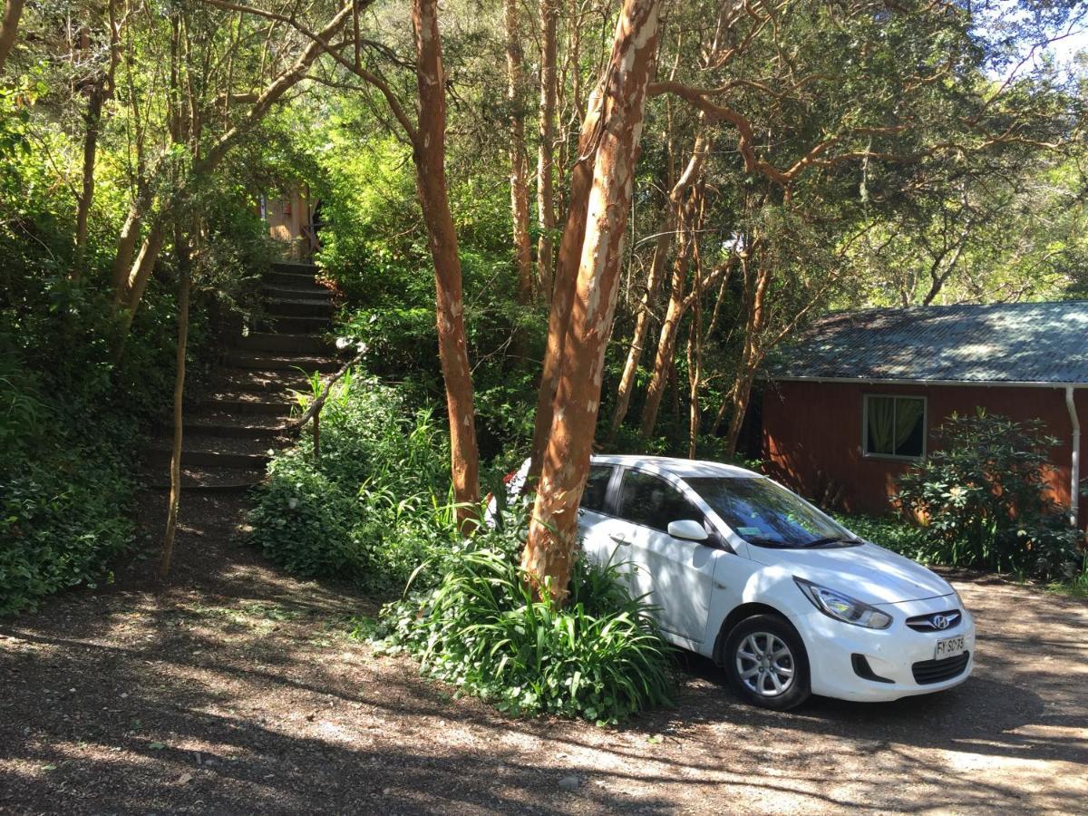 Cabanas El Bosque Patagonico フルティジャール エクステリア 写真